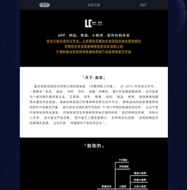 凌宸信息：软件开发公司