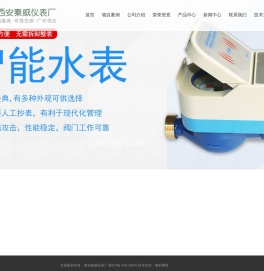 流量计