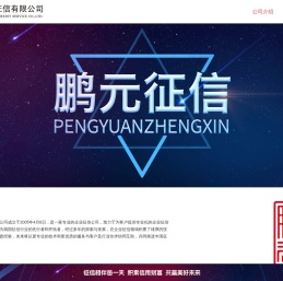 公司介绍