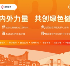 山东新华制药股份有限公司