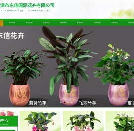 大顺花卉