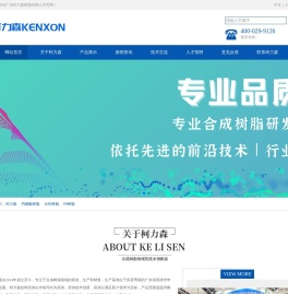 广东柯力森树脂有限公司