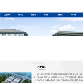 铜陵龙峰新材料有限公司【官网】
