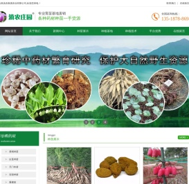 多花不倒苗黄精苗