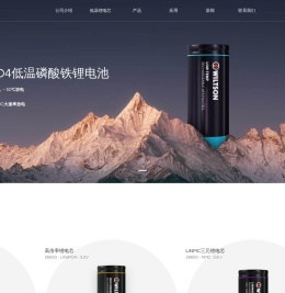 Wiltson能源
