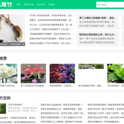 凤尾竹