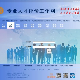 专业人才评价工作网