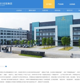 广东德力控股集团
