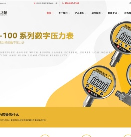 精密数字压力表
