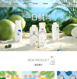 海南春光食品有限公司