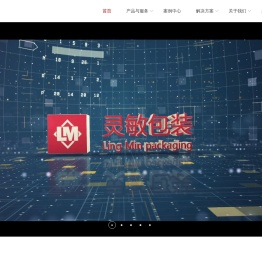 定制化包装解决方案