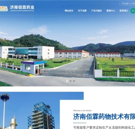 济南佰霖药物技术有限公司