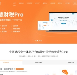 慧财税