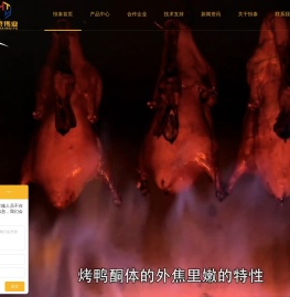 烤鸭炉