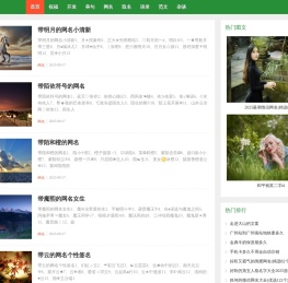 页维集