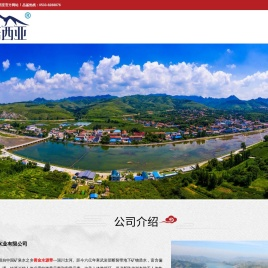 潘诺西亚