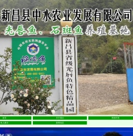 石斑鱼,光唇鱼养殖基地