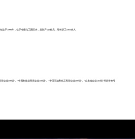 山东东方华龙工贸集团