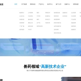 德润通集团