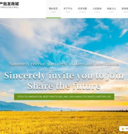 ZG特产批发商城