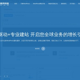 宜兴Wordpress建站