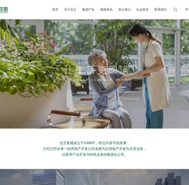 合正控股