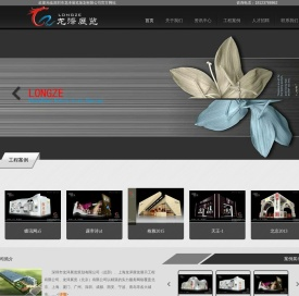深圳市龙泽展览策划有限公司