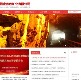 招金有色矿业有限公司