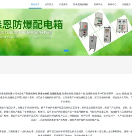 浙江森恩防爆电器有限公司