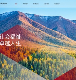 深圳市卓越集团公益基金会