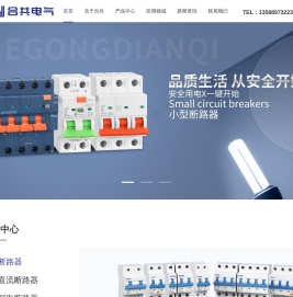 温州合共电气有限公司