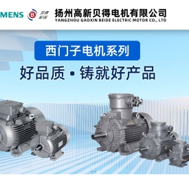 扬州高新贝得电机有限公司【官网】