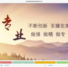 西安德赛控制系统有限责任公司