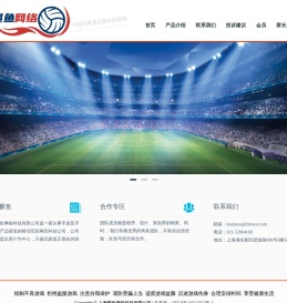 上海麒鱼网络科技有限公司