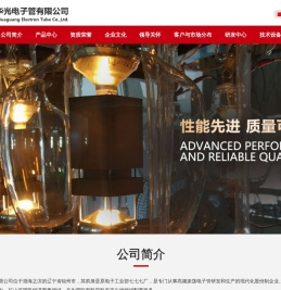 锦州华光电子管有限公司