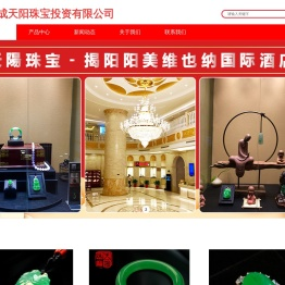 广州华成天阳珠宝投资有限公司