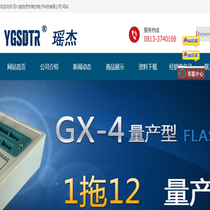 自贡市瑶杰电子科技有限公司