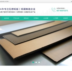 武汉龙发包装有限公司