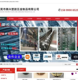 东莞市腾兴塑胶五金制品有限公司