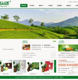 梅园茶叶,甘肃茶叶,陇南茶叶,康县阳坝梅园茶厂