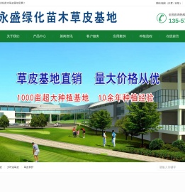 广西永盛绿化苗木草皮基地广西草皮