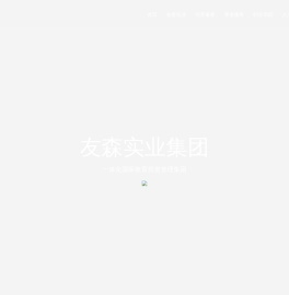 友森实业集团