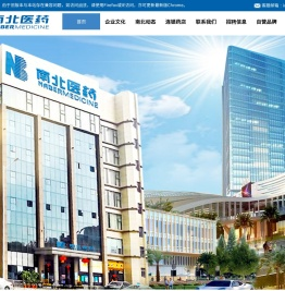 深圳市南北医药有限公司