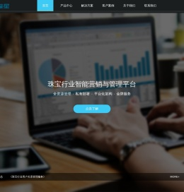 珠宝管理软件,珠宝软件,珠宝会员管理,珠宝财务管理【世纪福星】功能好