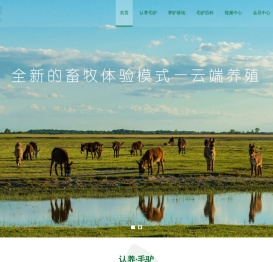 英大驴掌柜毛驴网