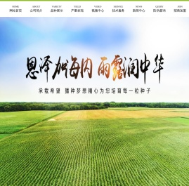 黑龙江省泽露种业有限公司,泽露种业,黑龙江玉米种子,龙单75,哈尔滨玉米种子,玉米种子,泽露农业