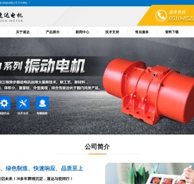 ZDS系列振动电机