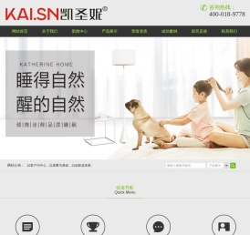 深圳市凯圣妮家居有限公司