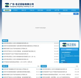 广东东正招标有限公司