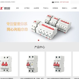 浙江鼎智电力科技有限公司